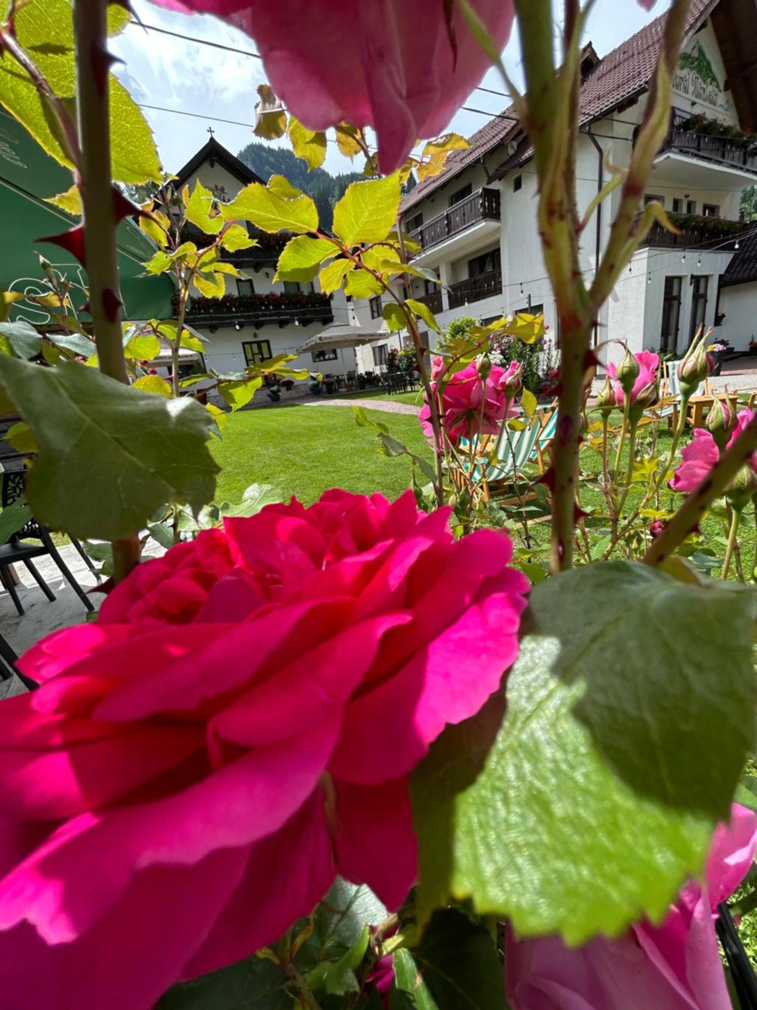 Casa Mia Hotel มัวเยชู เด ซุส ภายนอก รูปภาพ