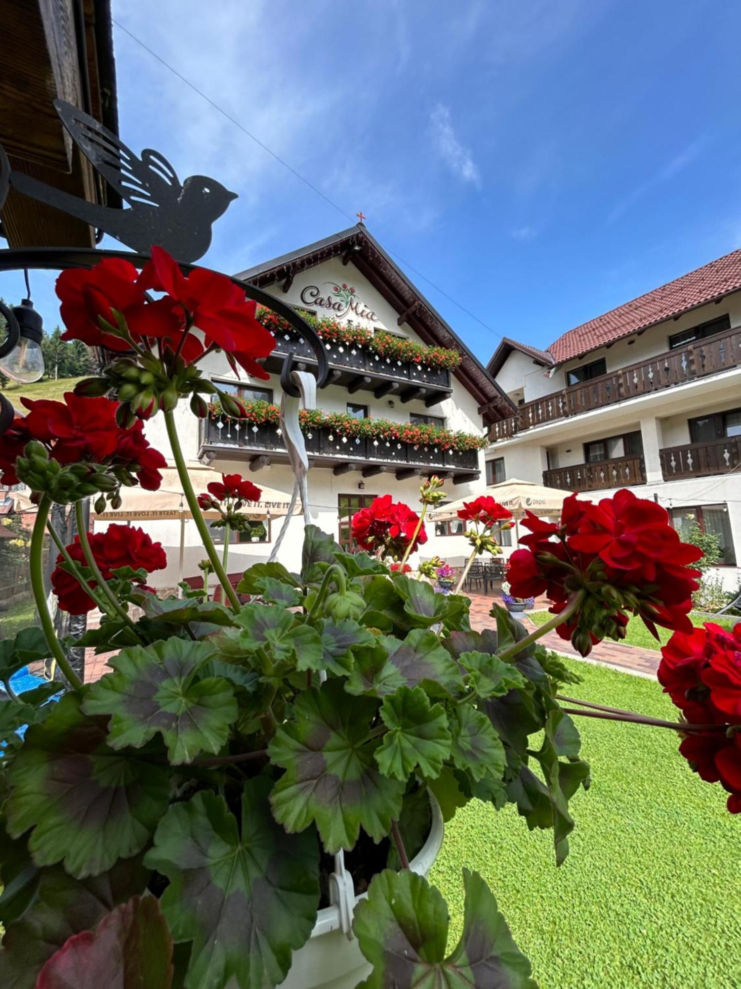 Casa Mia Hotel มัวเยชู เด ซุส ภายนอก รูปภาพ